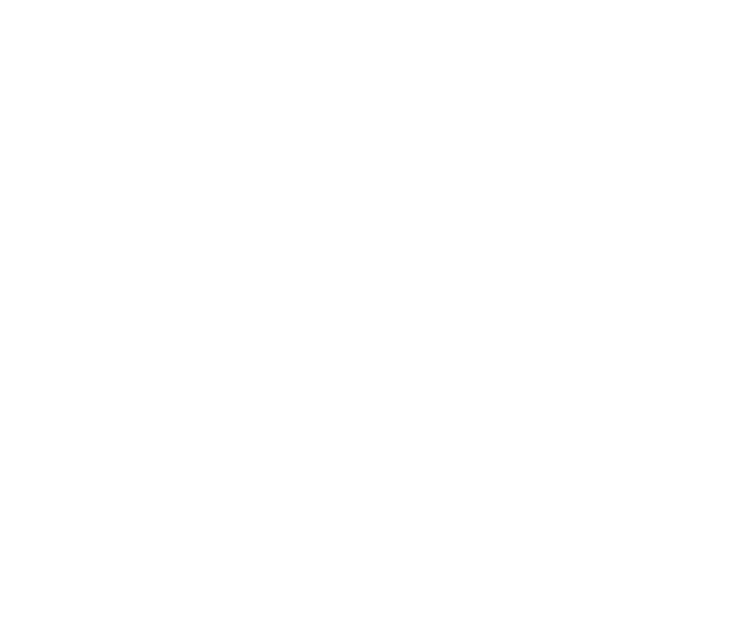 ZEUS LOGO BLANCO SIN FONDO 2